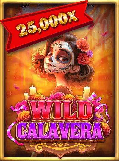 26win